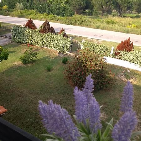 Athina Vourvourou Apartments Екстериор снимка